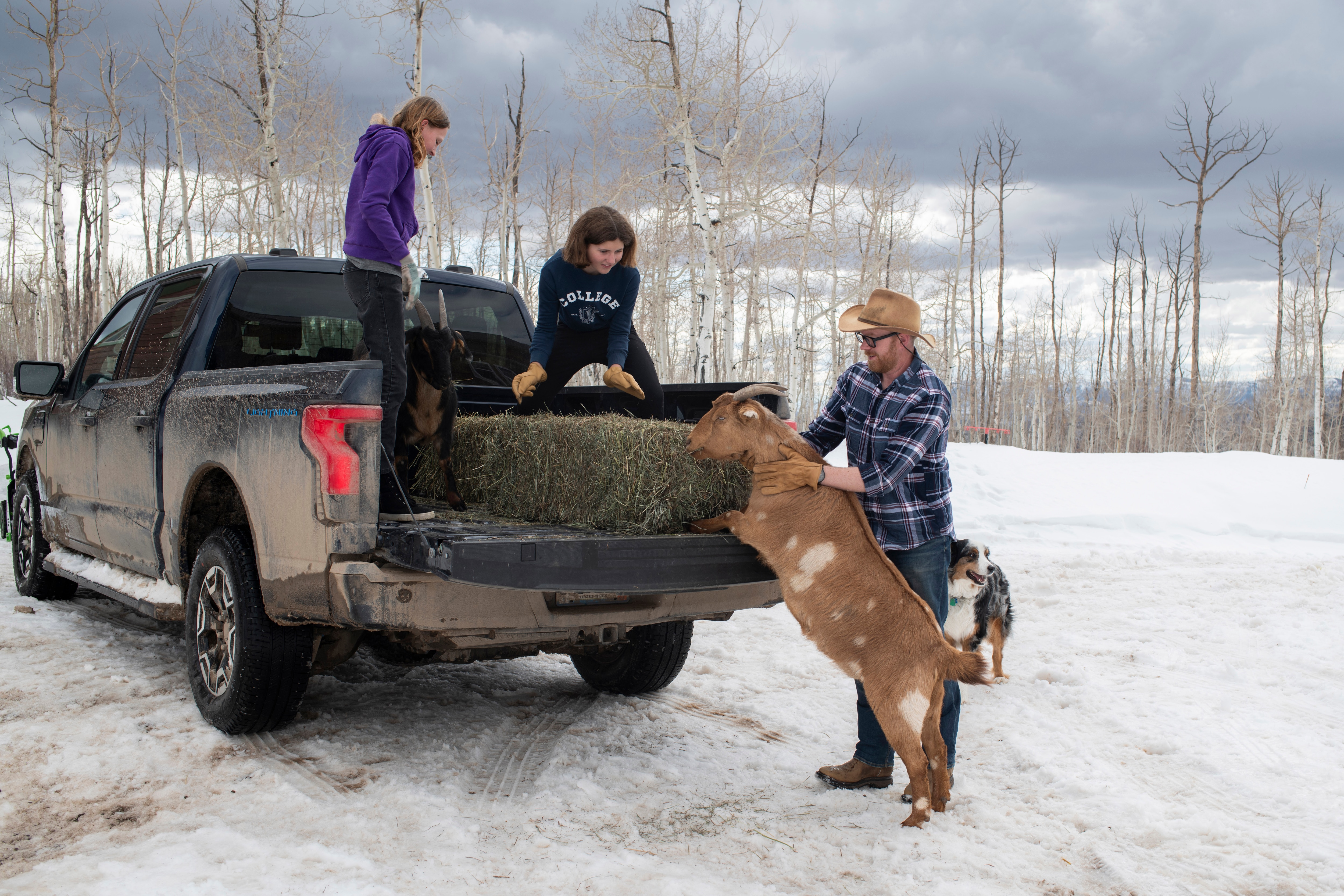 Ben Westby unloads a bale of hay as his daughters, from left, Lizzie Westby, 13, and Ari Westby, 12, stand on the bed of their Ford F-150 Lightning on Sunday, March 17, 2024 at their home in New Castle, Colorado. Rachel Woolf for Ford